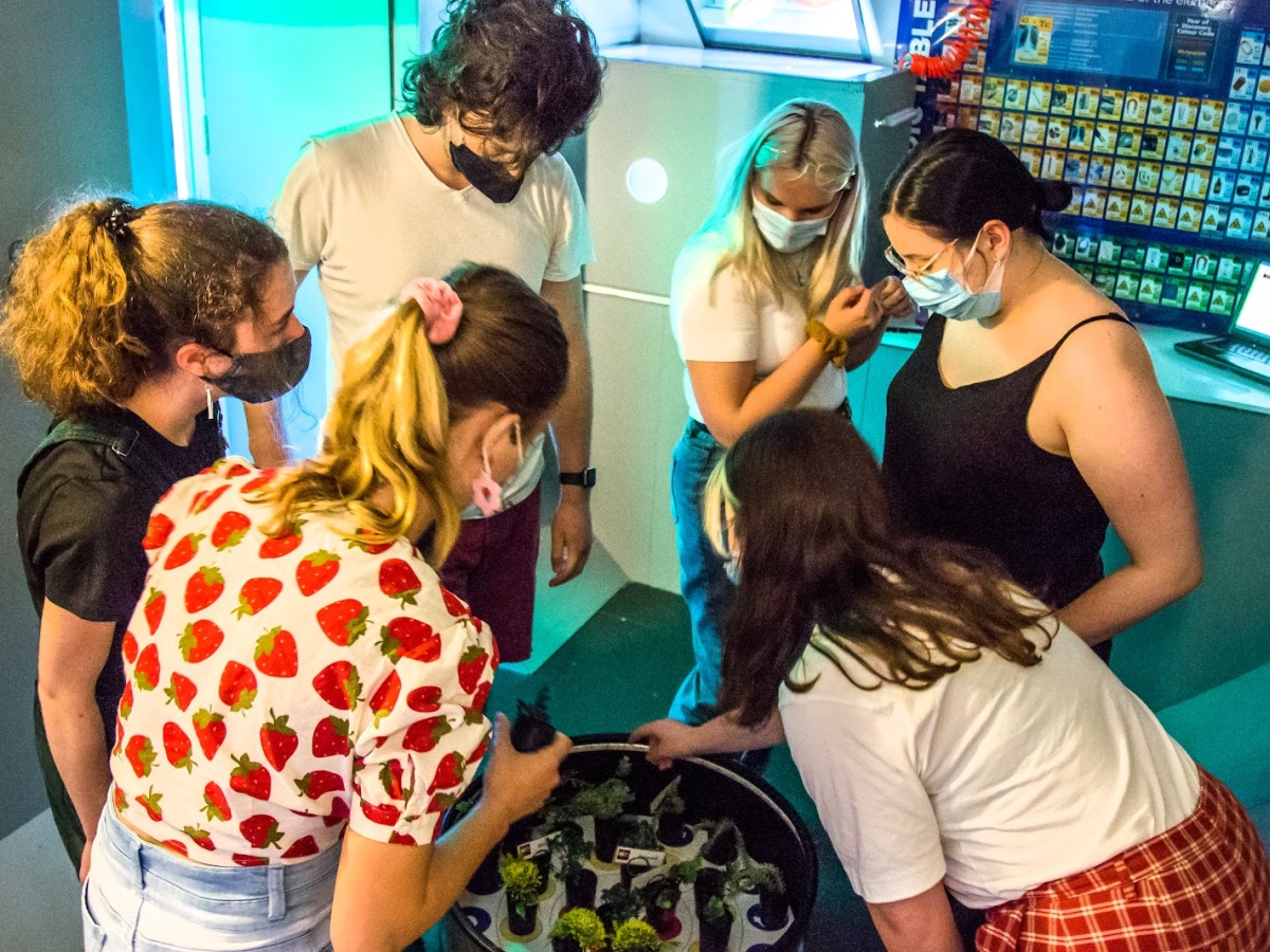 Locked in Escape Rooms