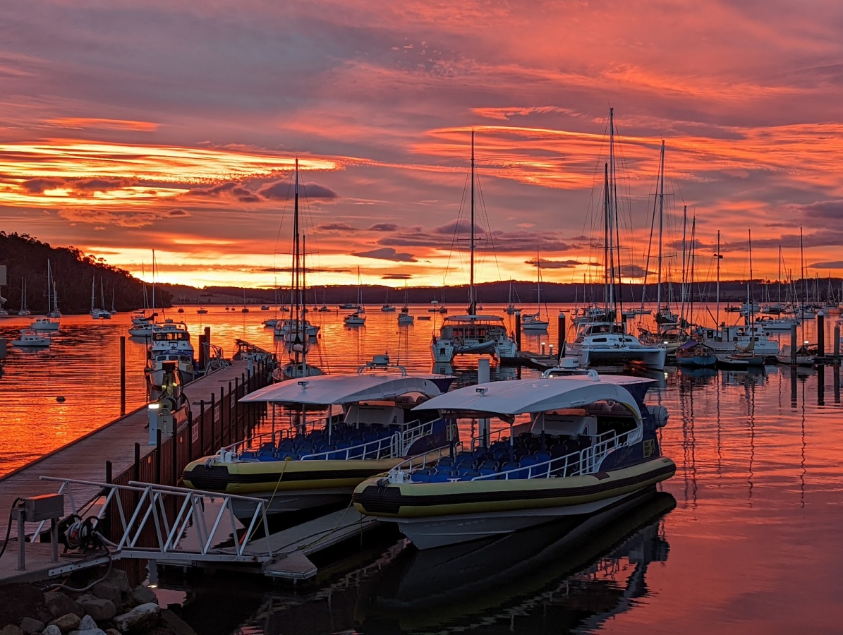 Oyster Cove Marina
