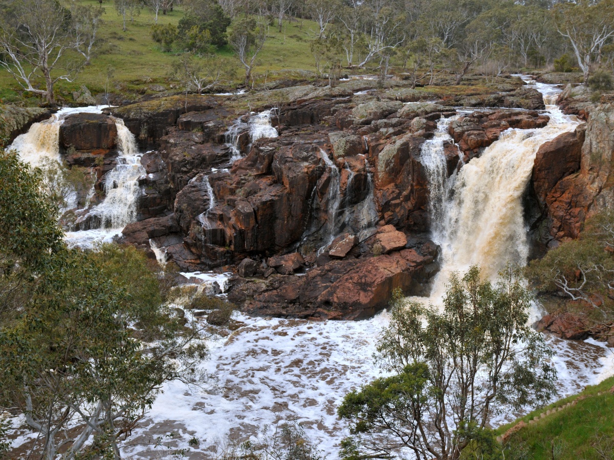 Nigretta Falls, Hamilton