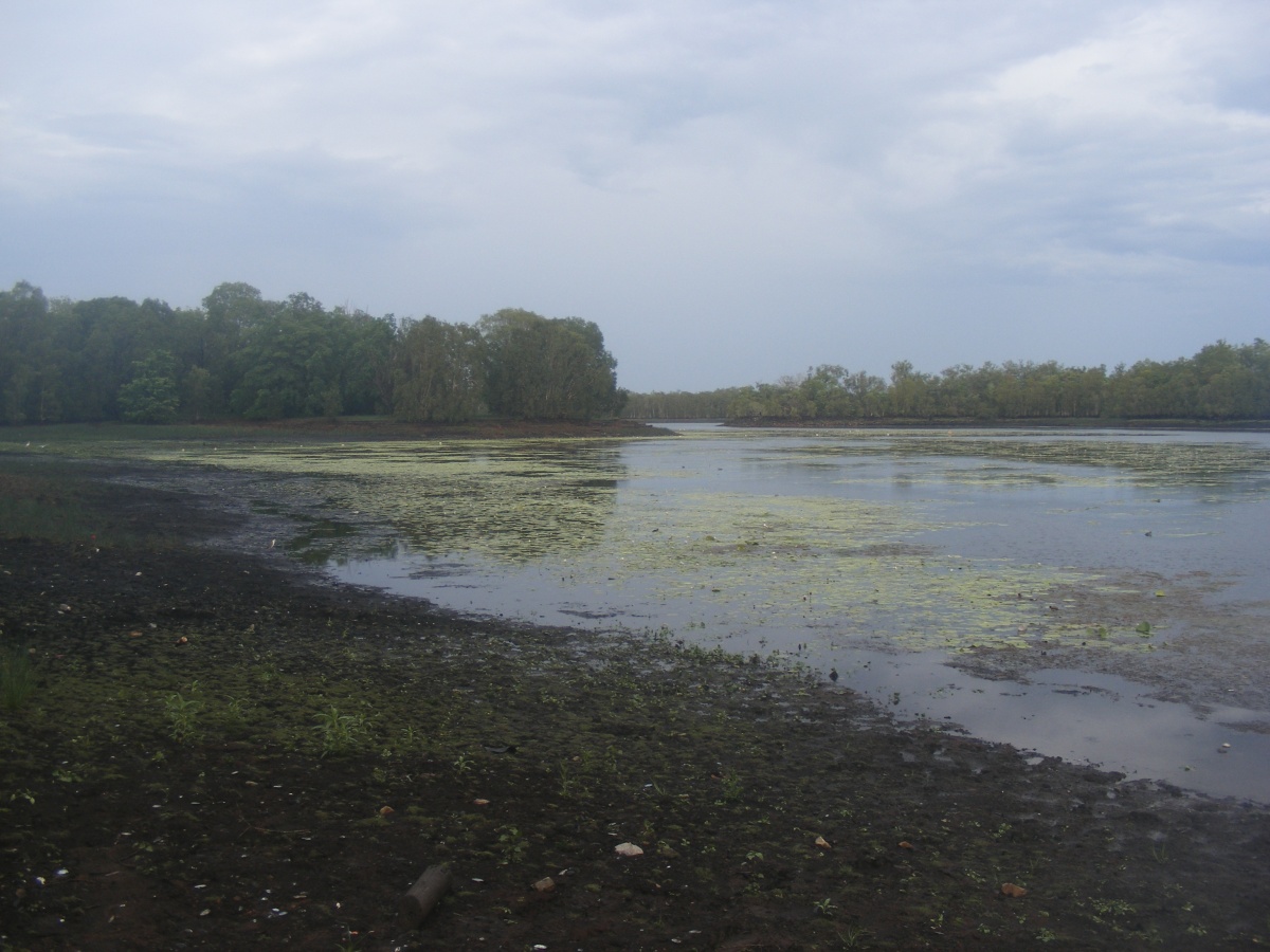 Manton Dam