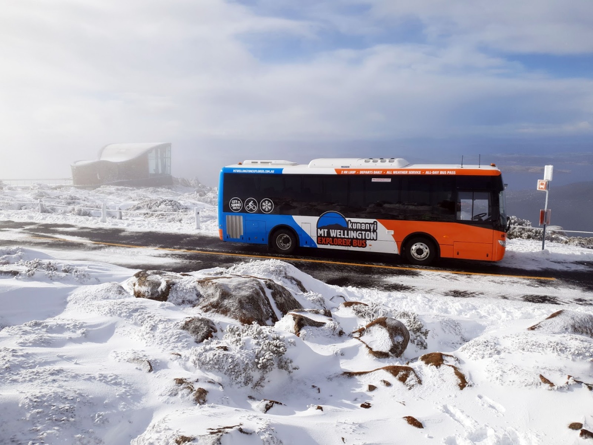 kunanyi/Mt Wellington Explorer Bus