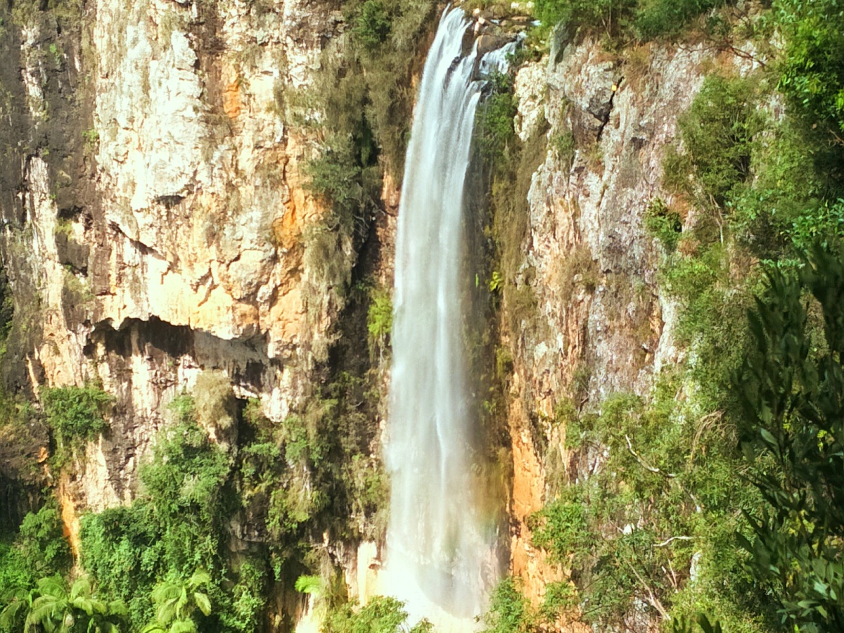 Gold Coast Rainforest Tours & Hikes