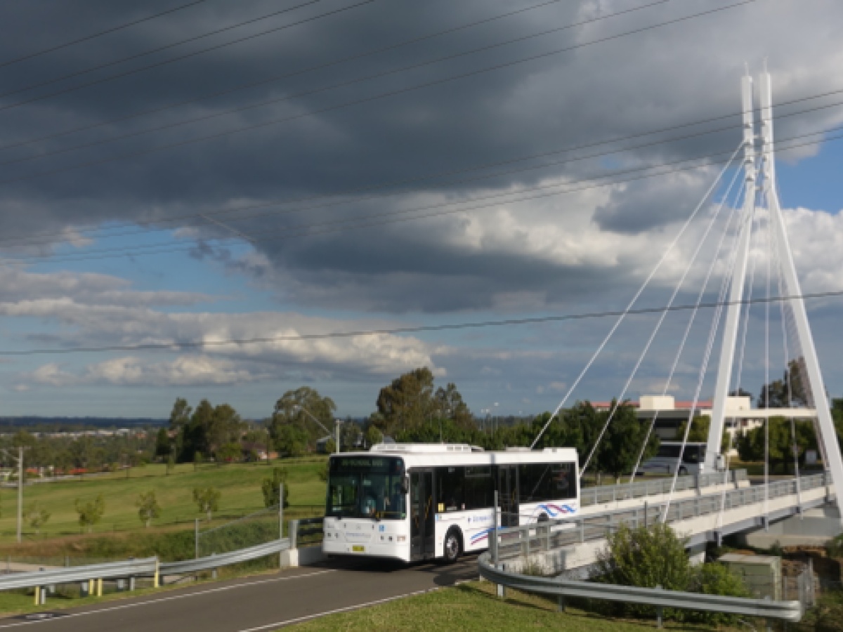 Silver Compass Tours