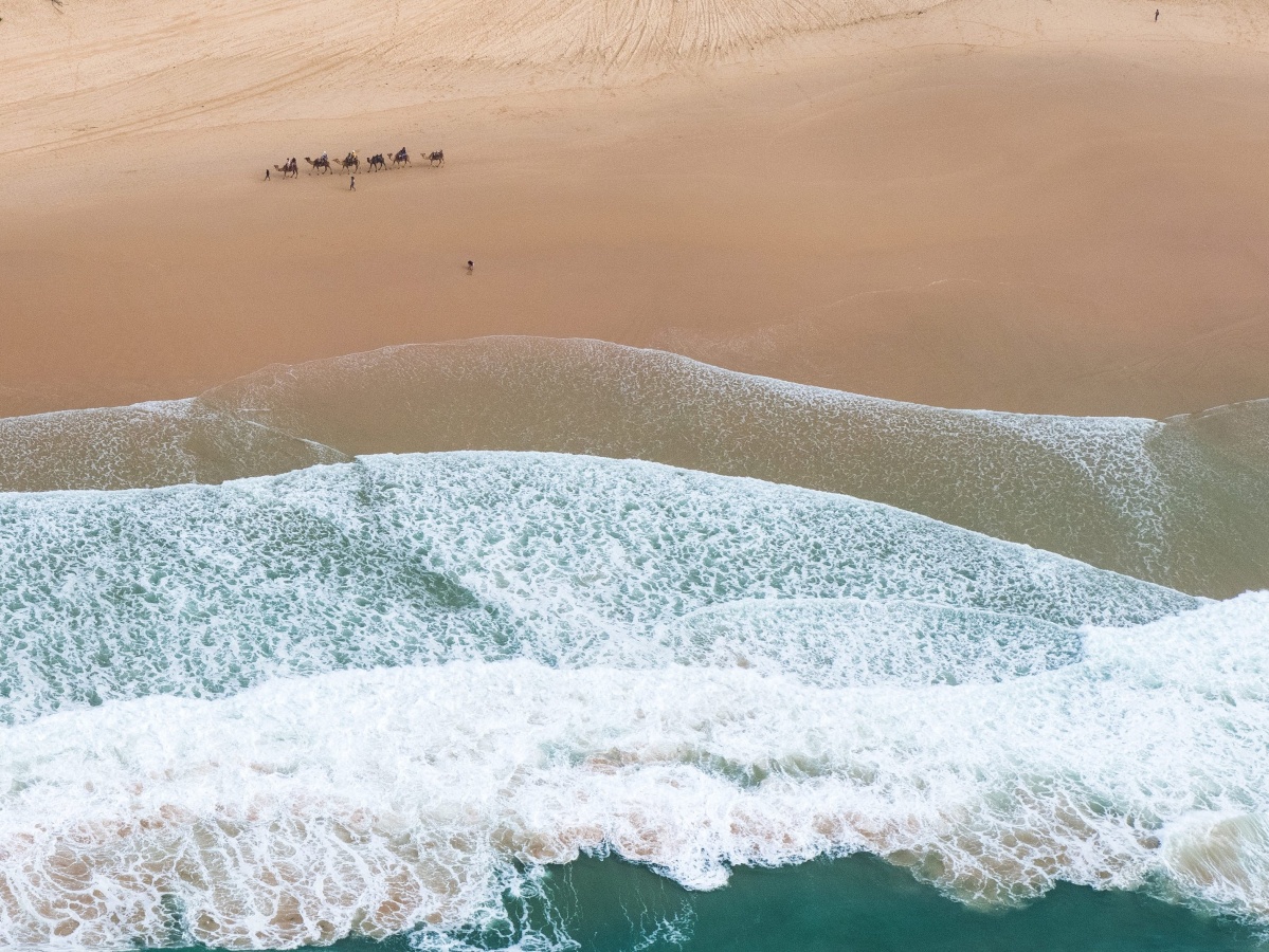 Port Macquarie Helicopters