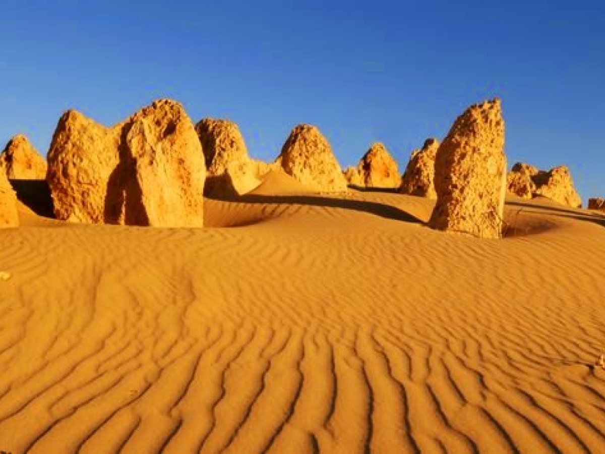 Super Roo Tours – Day Tours