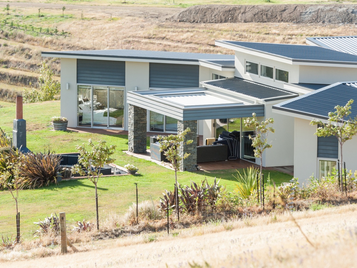 Stewart Town Vineyard