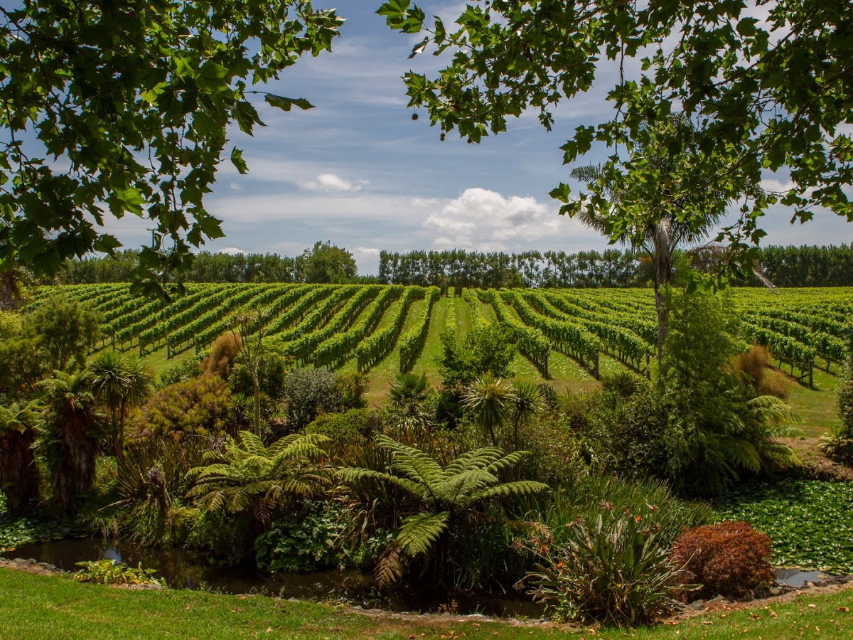 West Brook Winery, Helensville