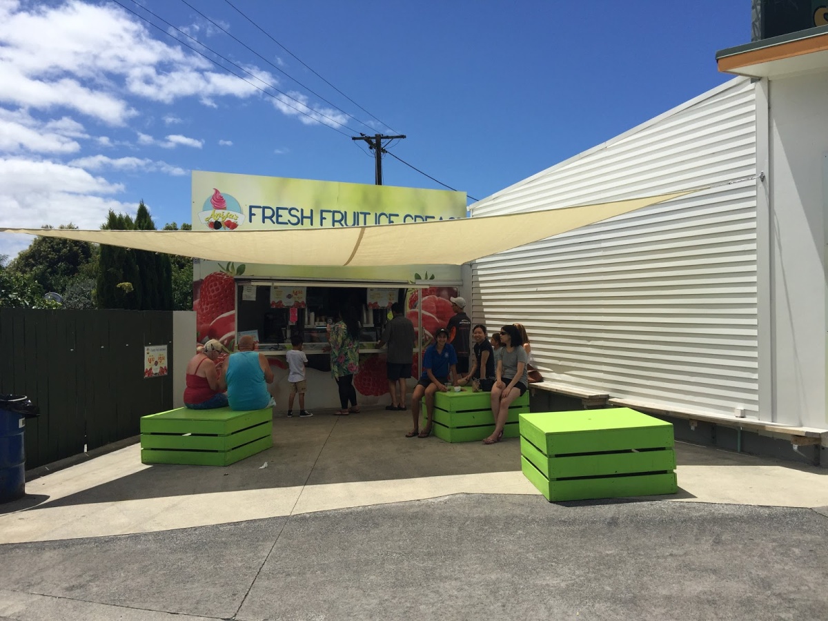 Anijas Fresh Fruit Ice Cream, Henderson