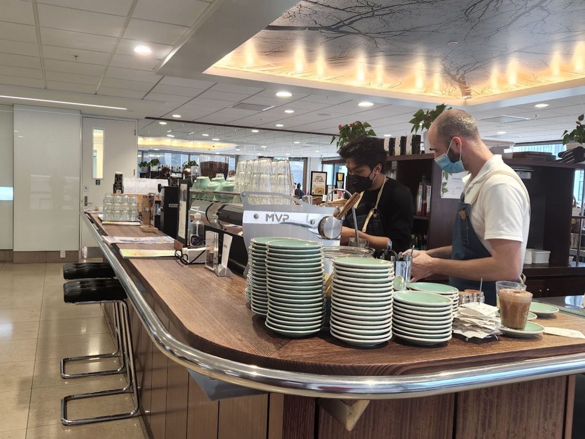 Mojo Terrace, Wellington Central