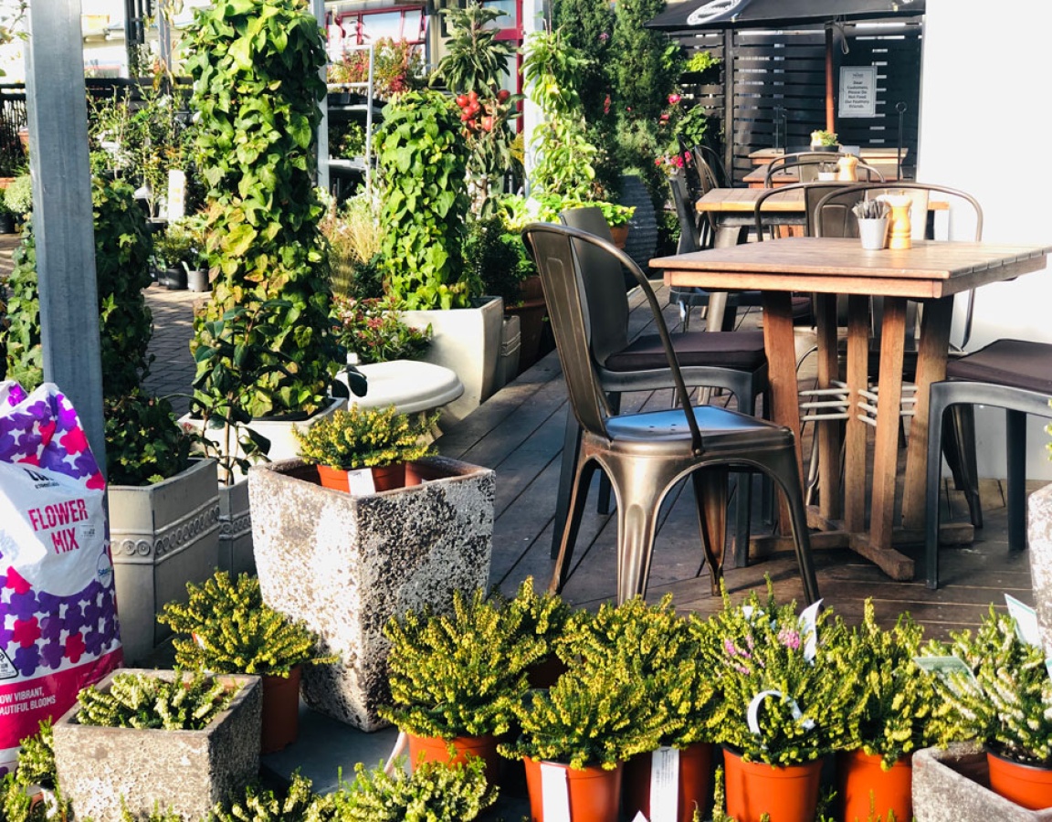 Nichol’s Garden Cafe Dunedin