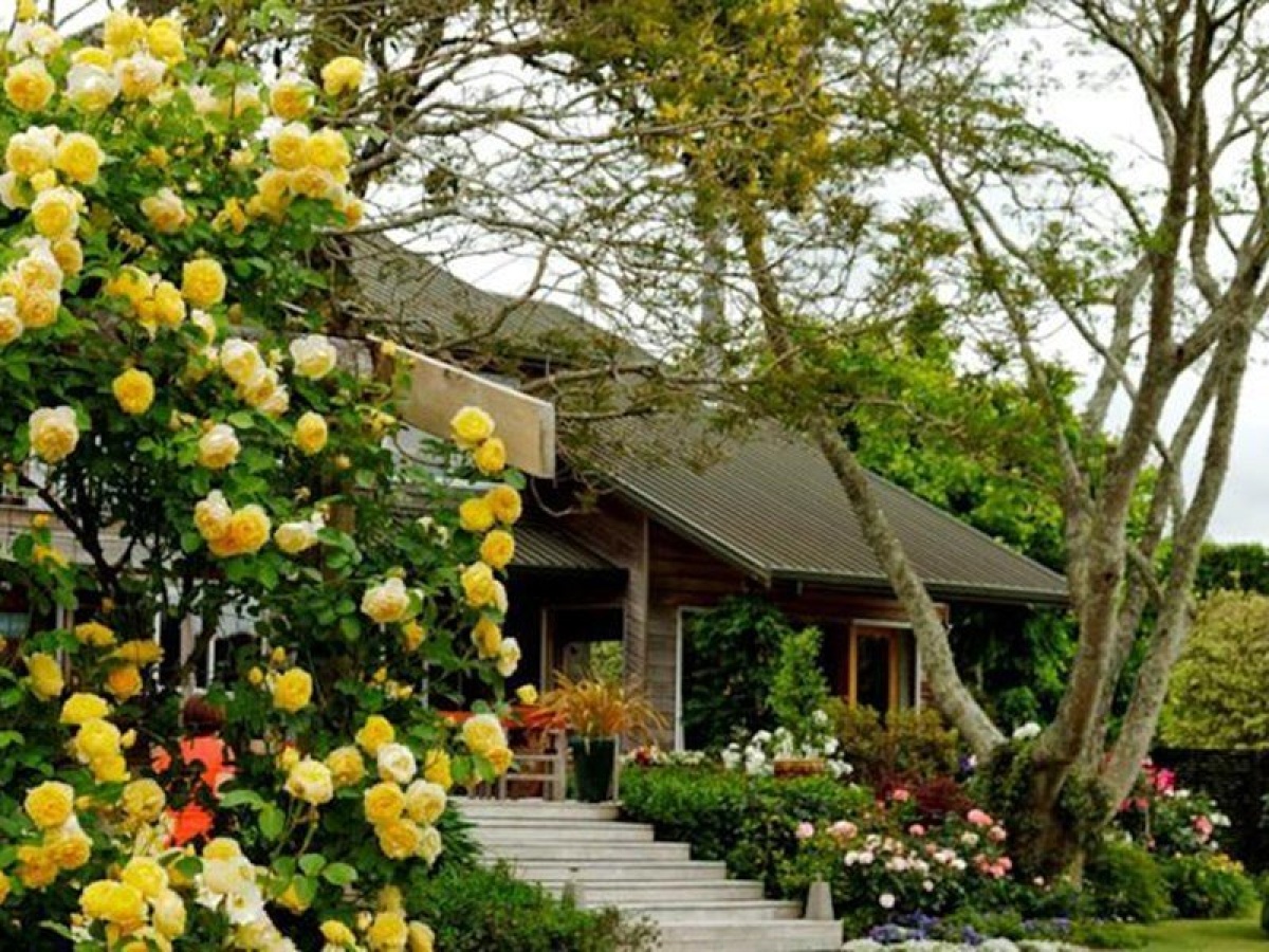 Ashfields Country Garden B&B