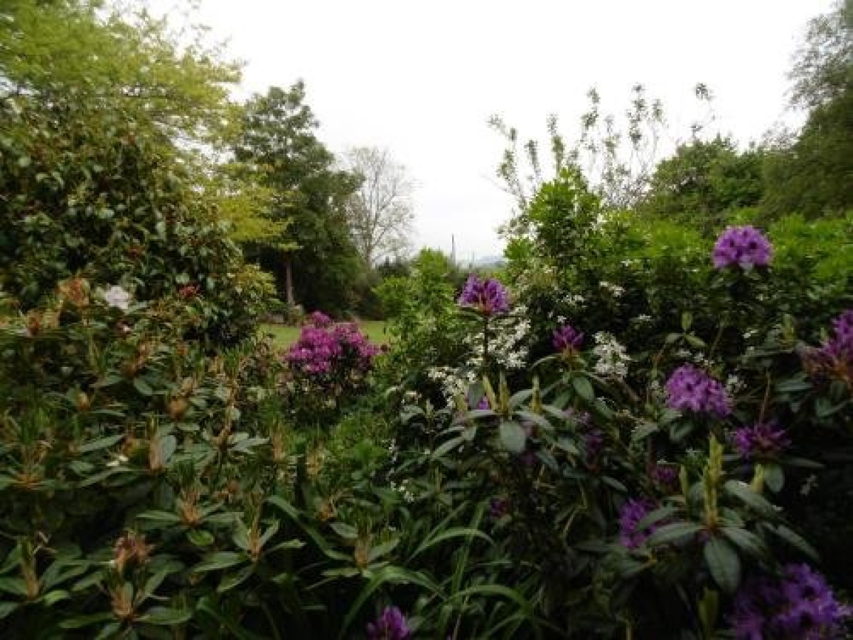 Ranui Retreat Bed & Breakfast