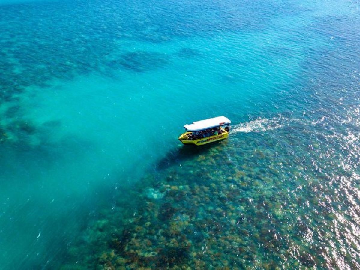 Glass Bottom Boat Tour