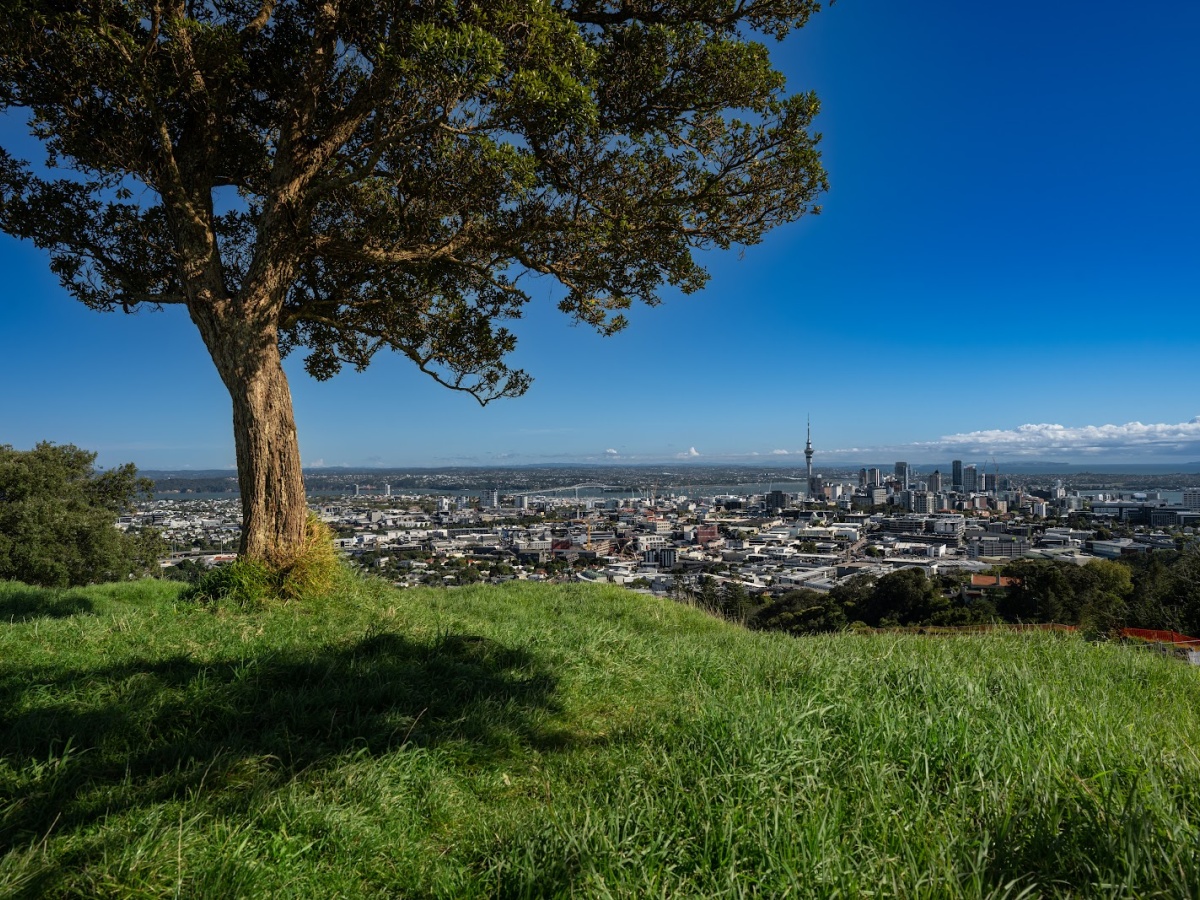 Maungawhau / Mount Eden