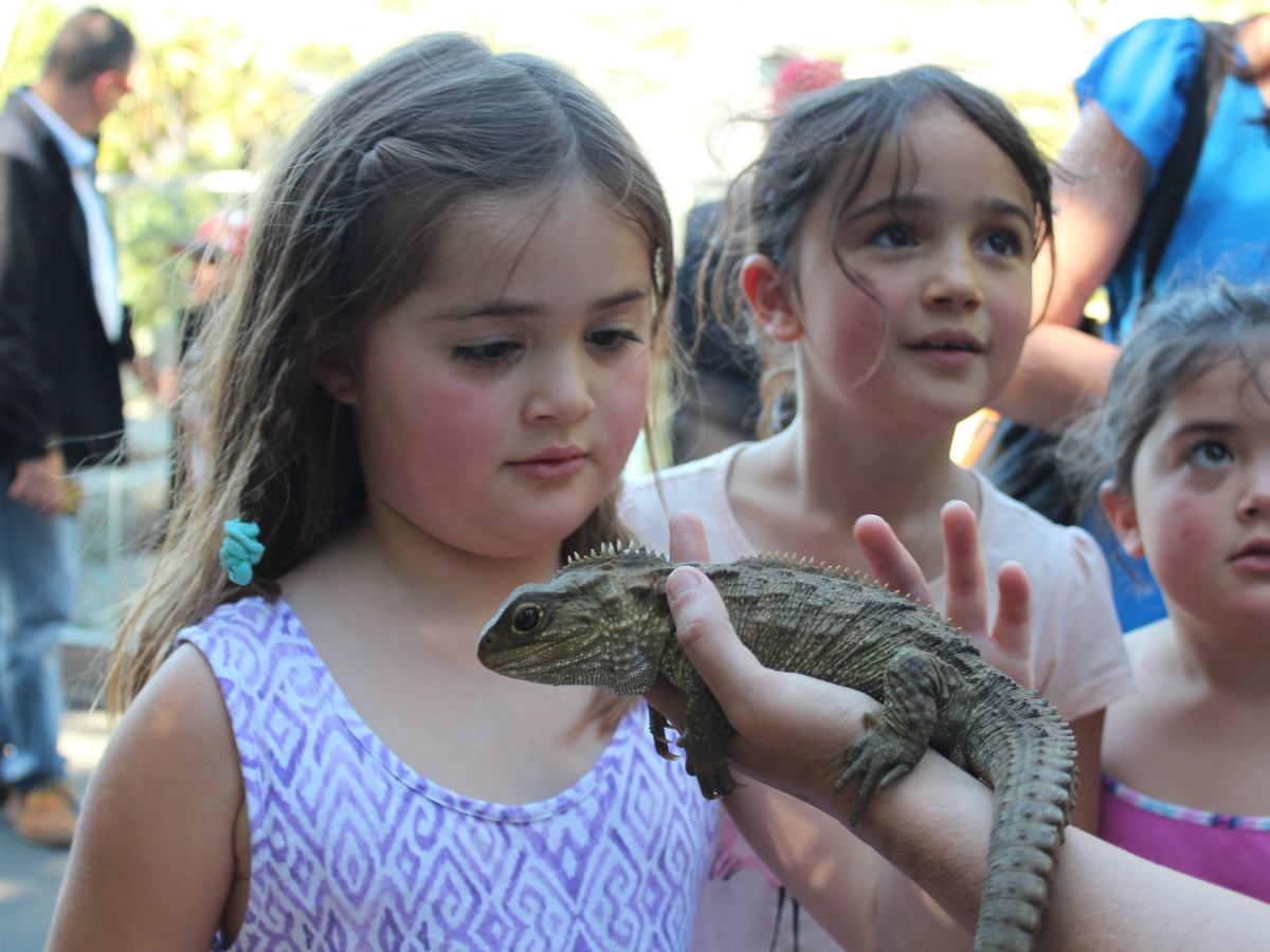 Wellington Zoo