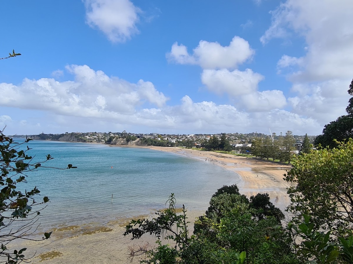 Browns Bay Beach Reserve