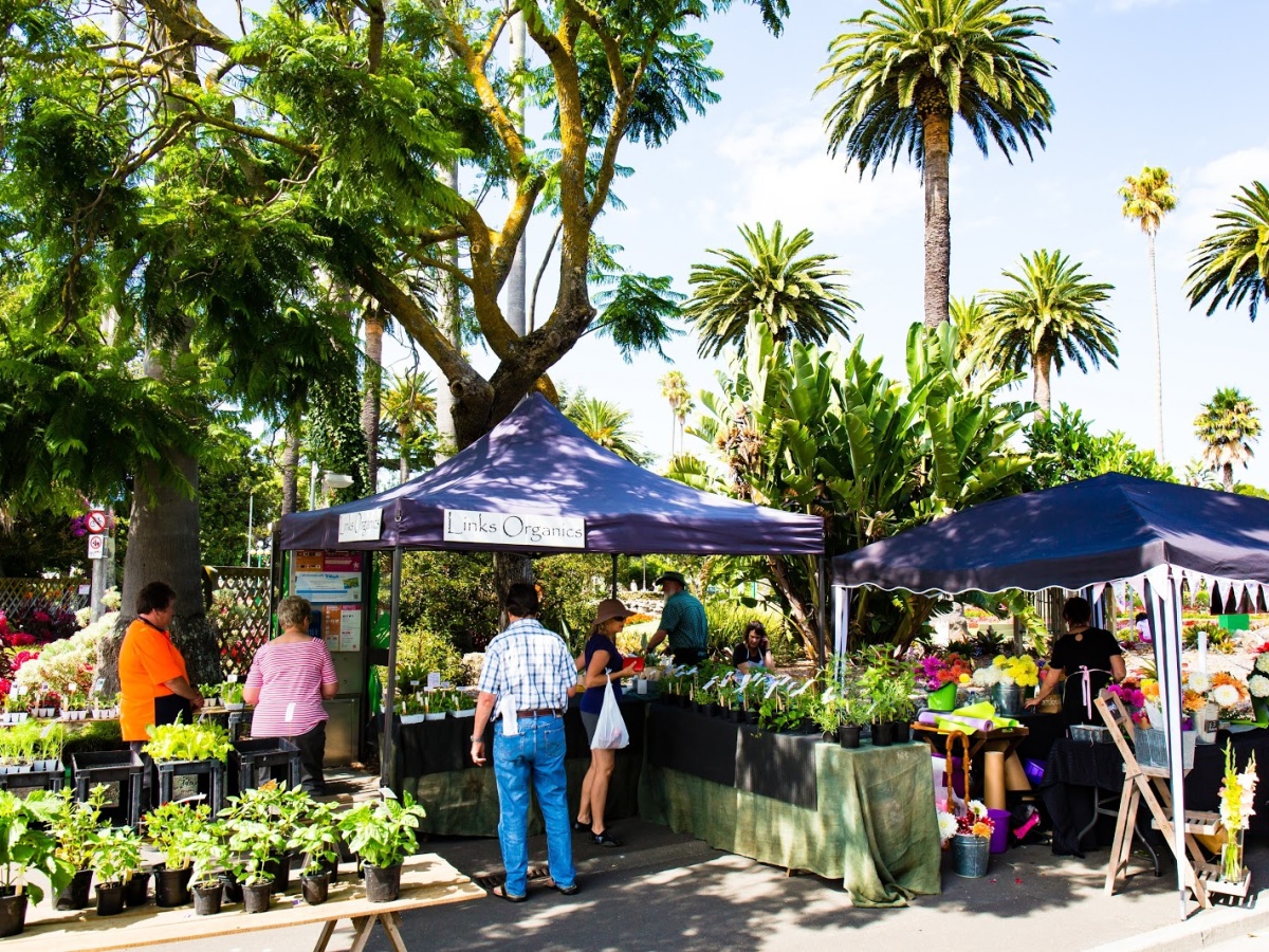 Napier Urban Farmer’s Market