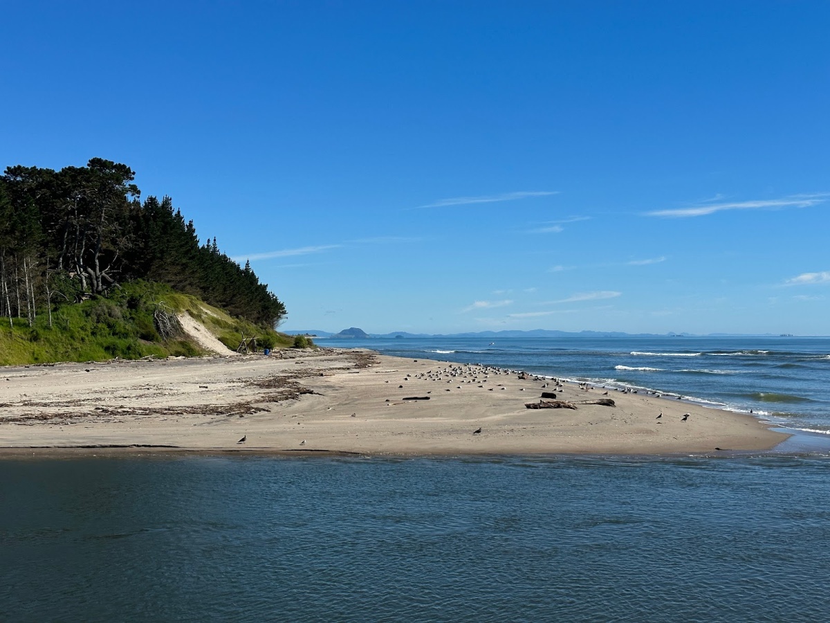 Kaituna Scenic Reserve