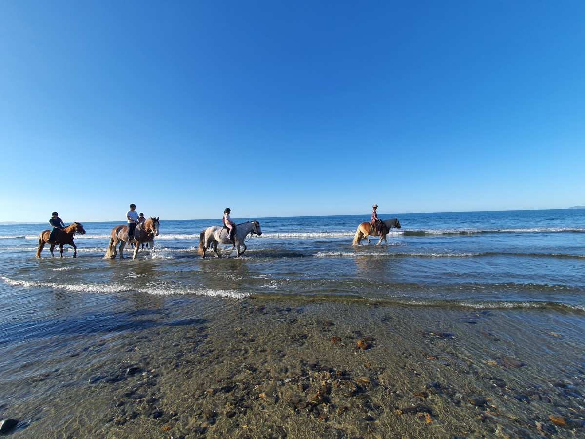 Hack’n Stay Golden Bay, Beach Horse Riding, Camping, Accommodation