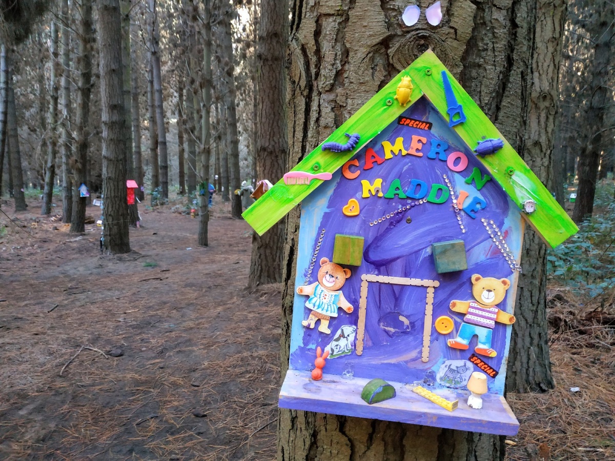 The Fairy Forest, Parklands