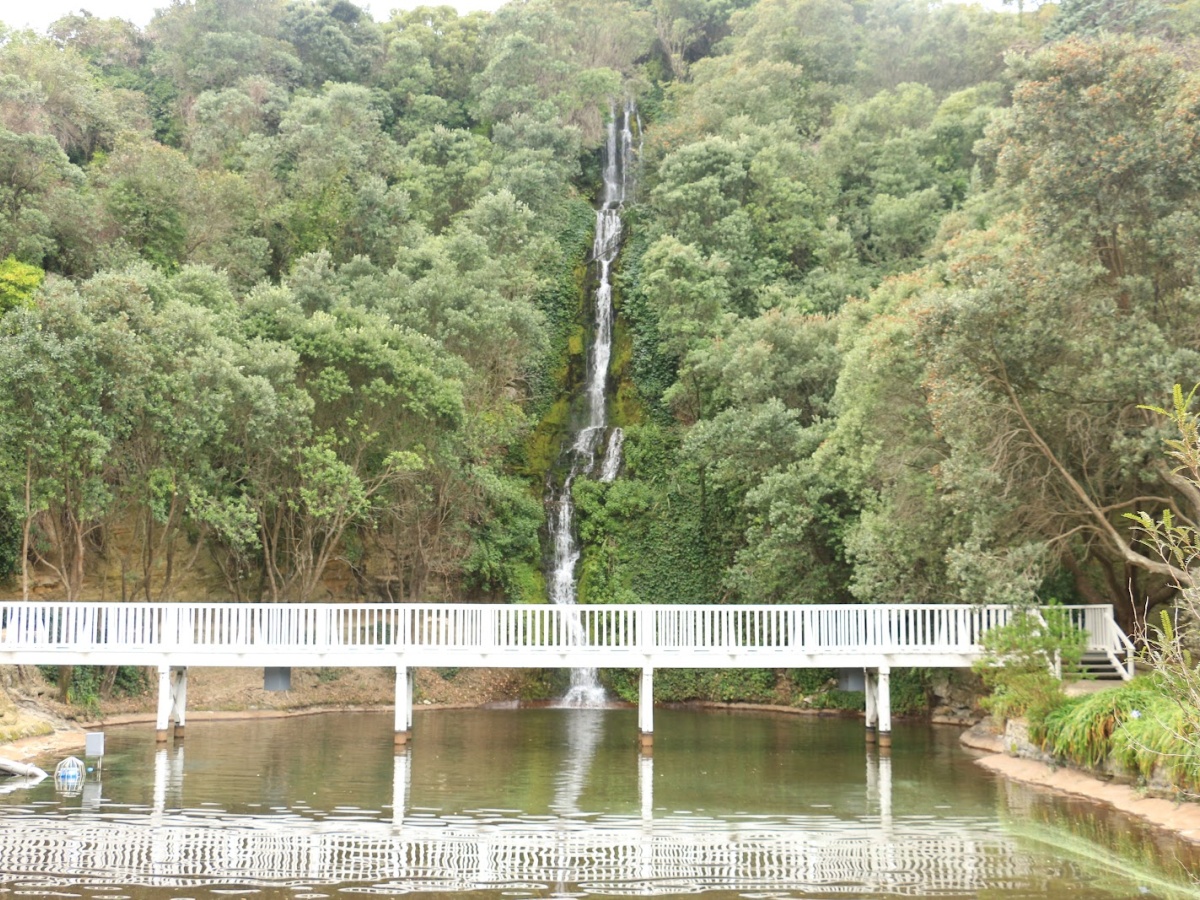 Centennial Garden Waterfall, Bluff Hill