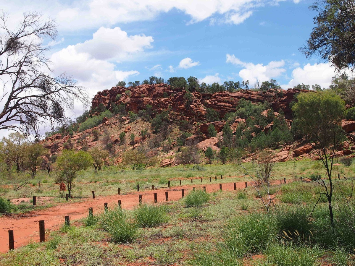 Native Gap Conservation Reserve