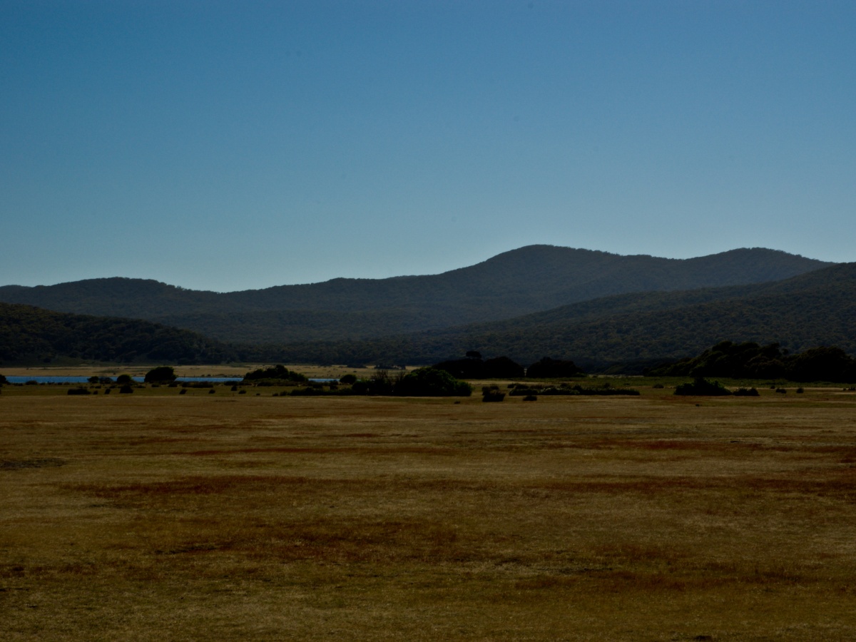 Narawntapu National Park