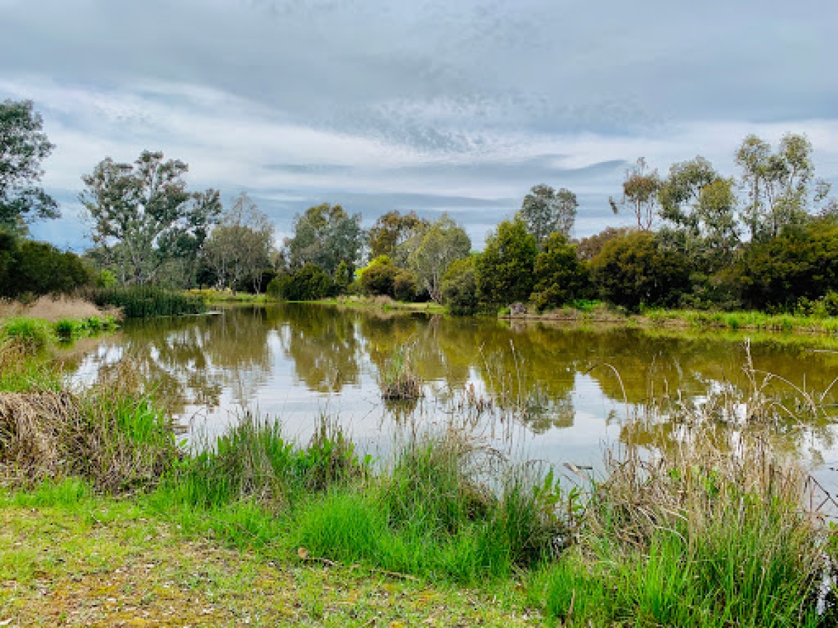Mansfield Mullum Wetlands