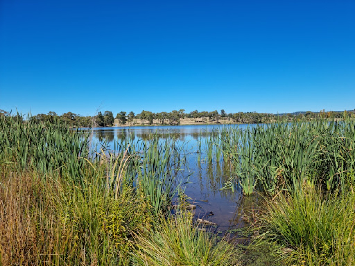 Gosling Creek Reserve