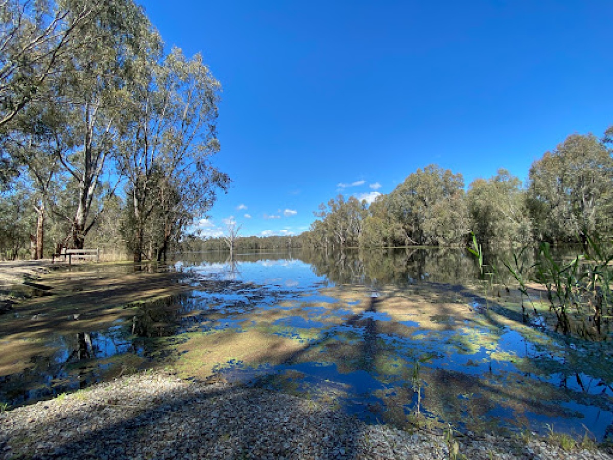 Wonga Wetlands