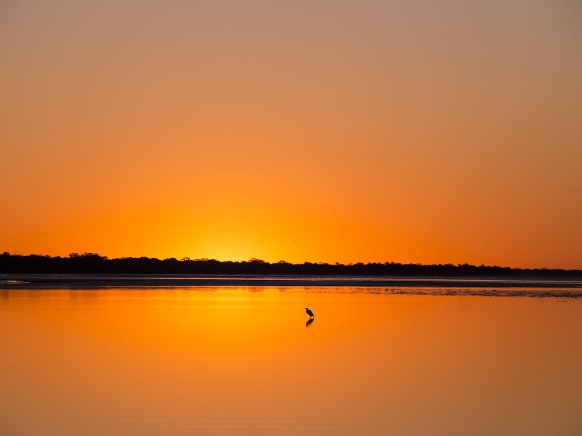 Birdwatching on the Fraser Coast