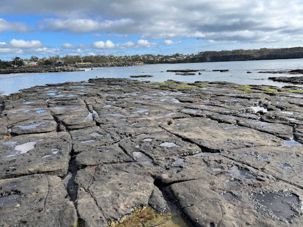 Gondwana Coast Fossil Walk