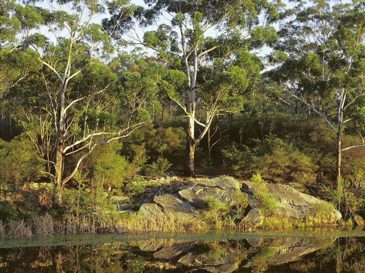 Lake Parramatta Reserve and recreation area