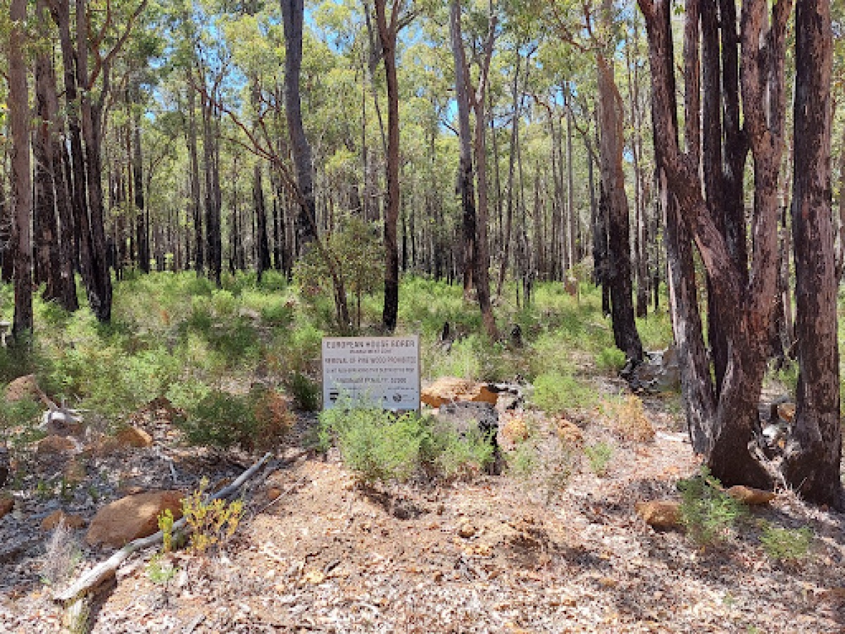 Grevillea Park