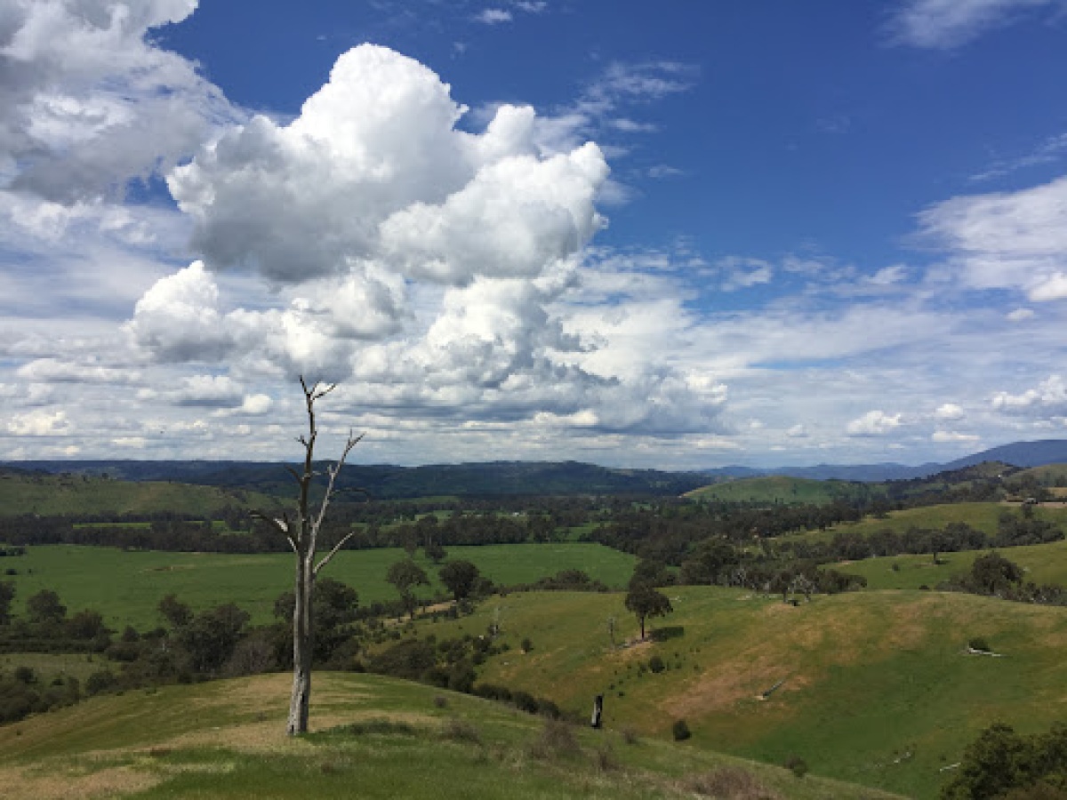 Acheron Cutting Lookout