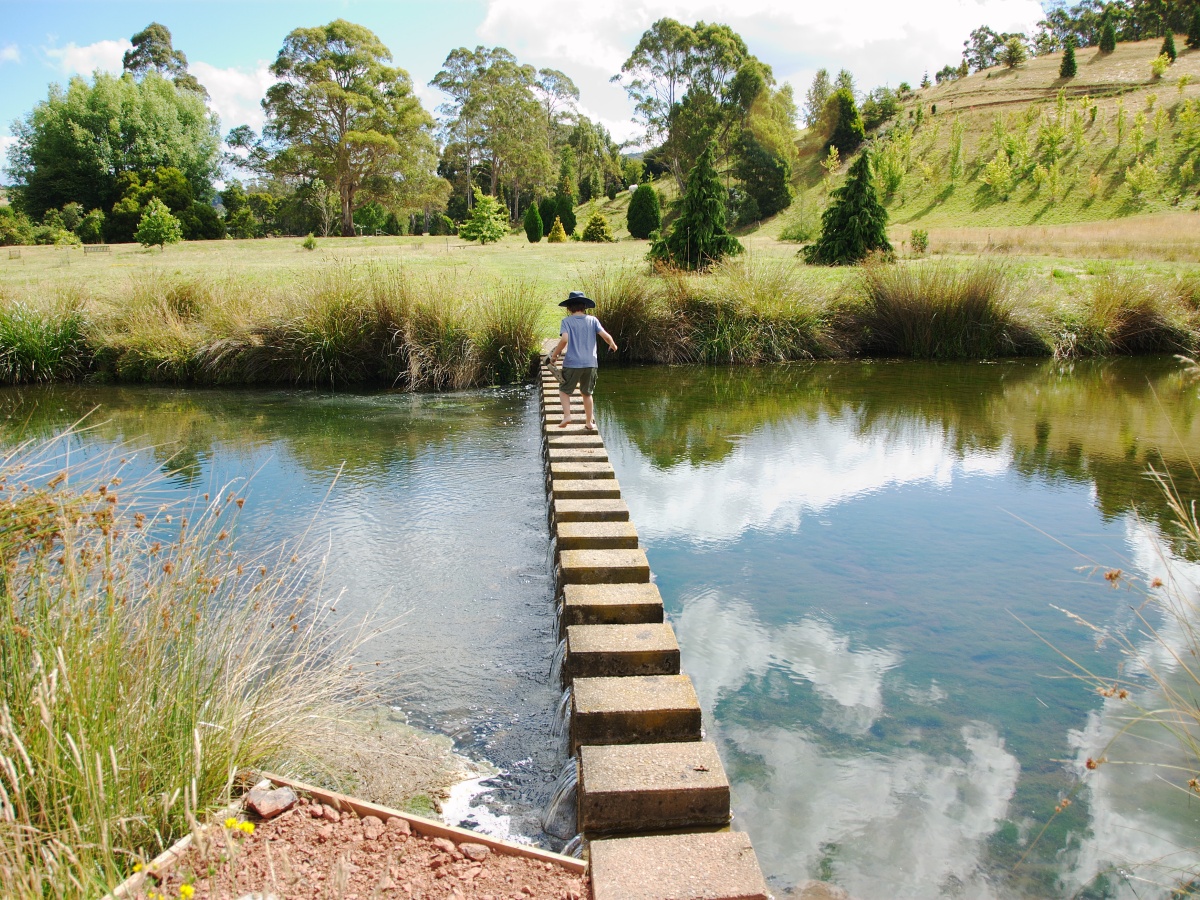 The Tasmanian Arboretum