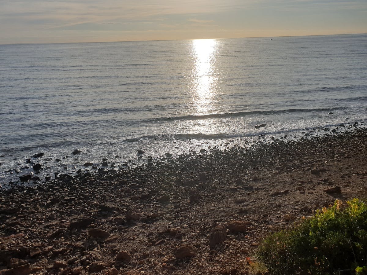 Fosters Beach