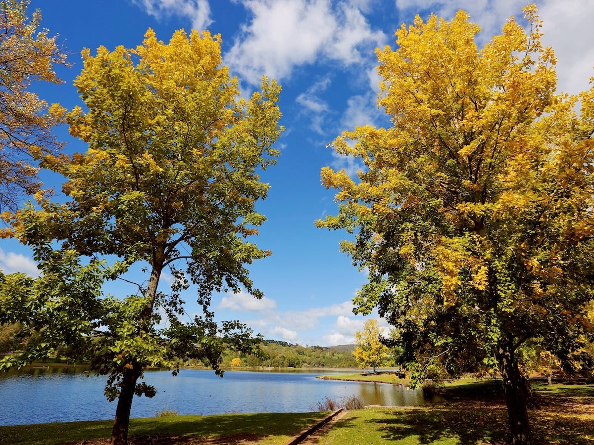 Lake Canobolas Reserve, Nashdale