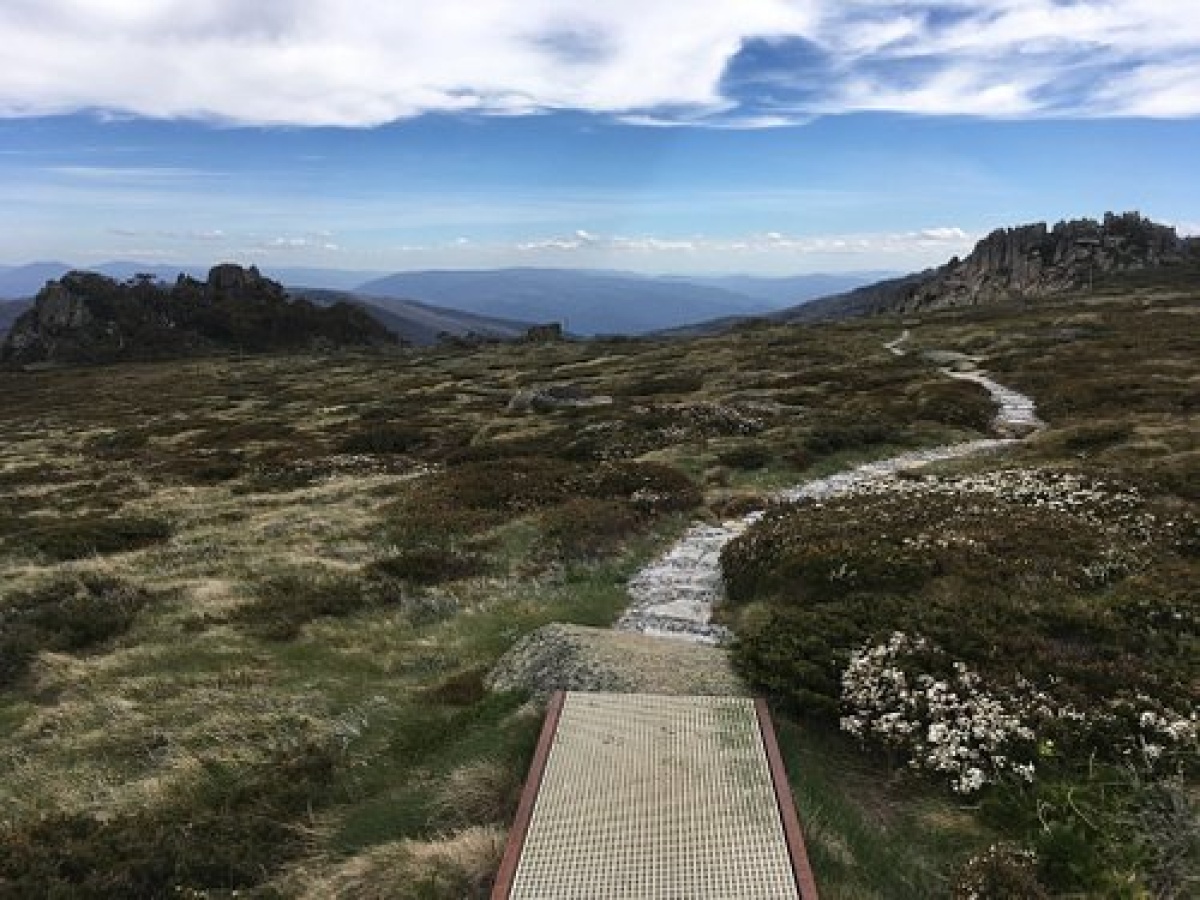 Thredbo Valley Track