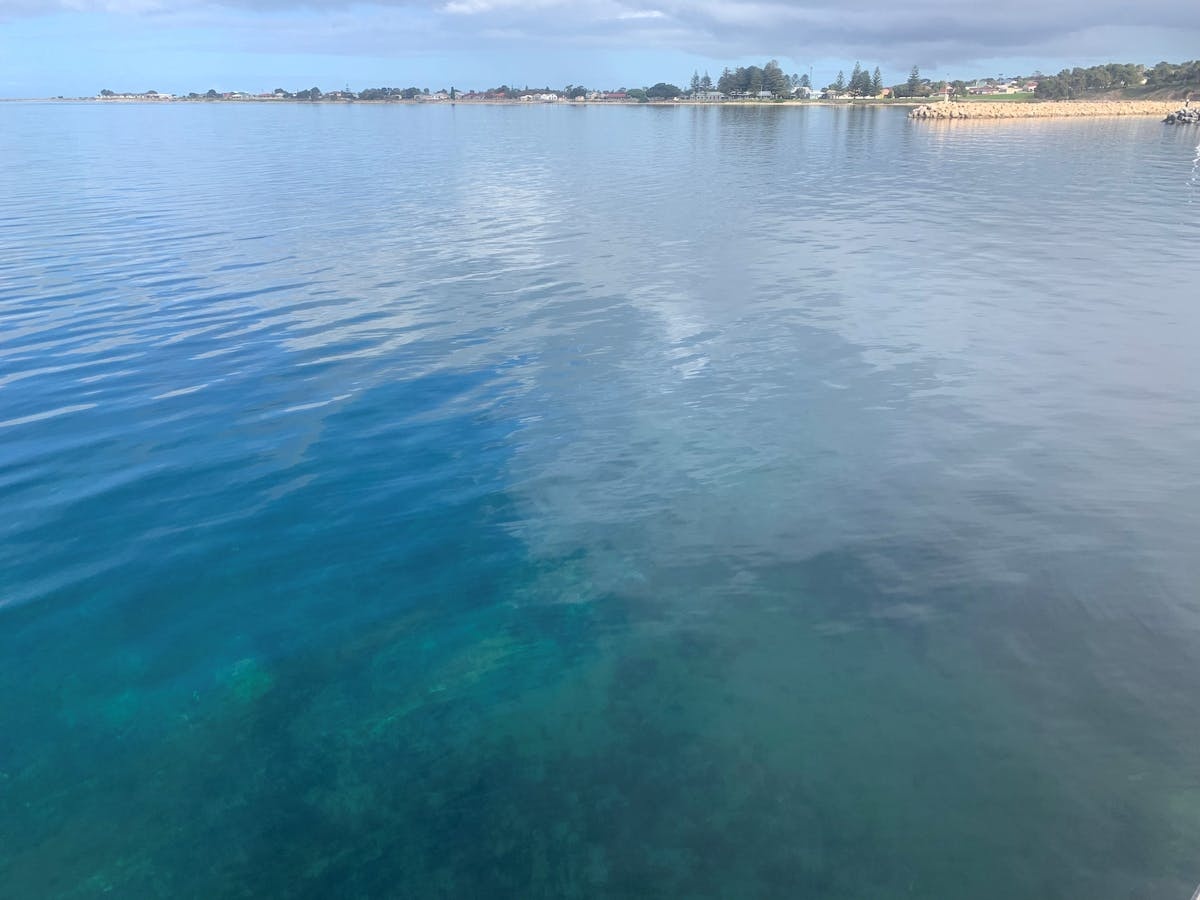 Oyster Bay – Stansbury
