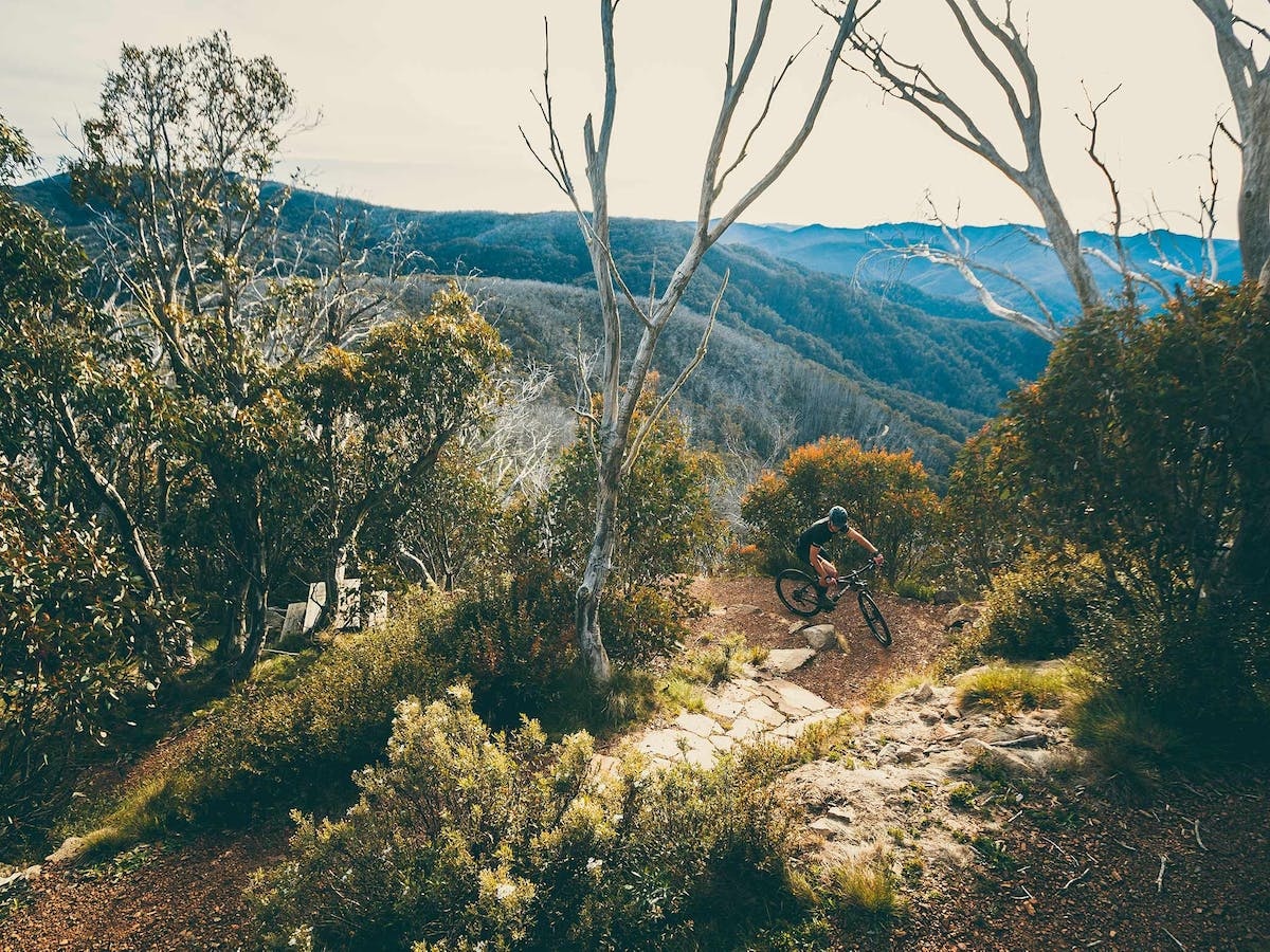 Australian Alpine Epic Mountain Bike Trail, Mount Buller