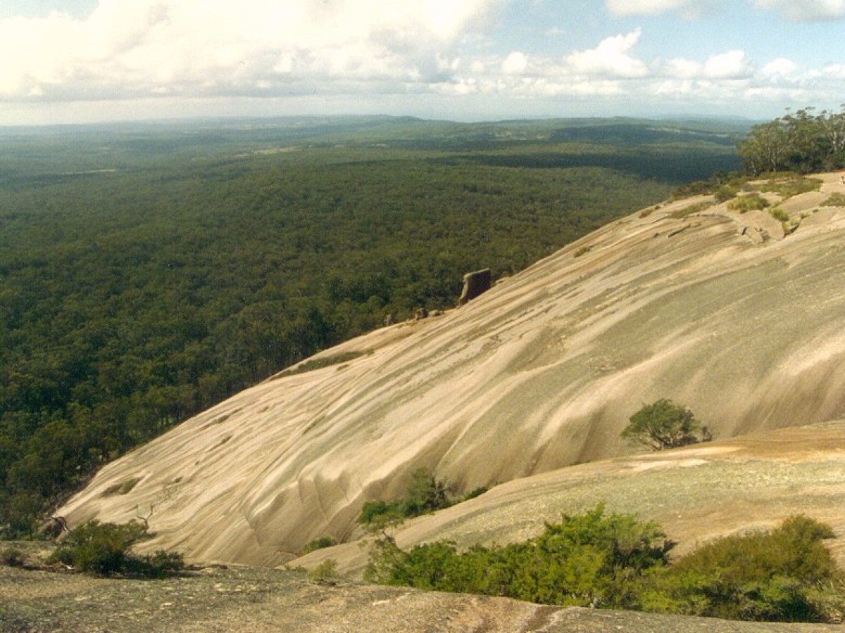 Bald Rock National Park