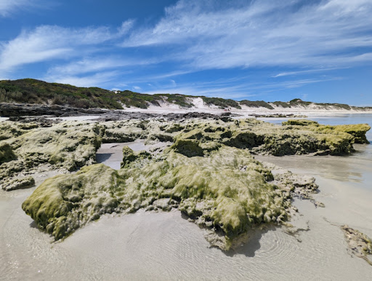 Bales Beach