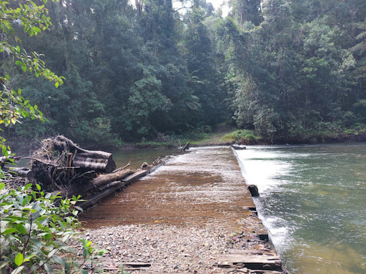Wilson River picnic area, Banda Banda