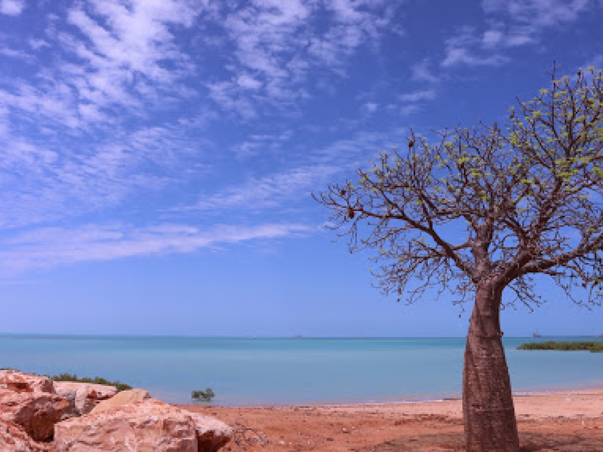 Town Beach