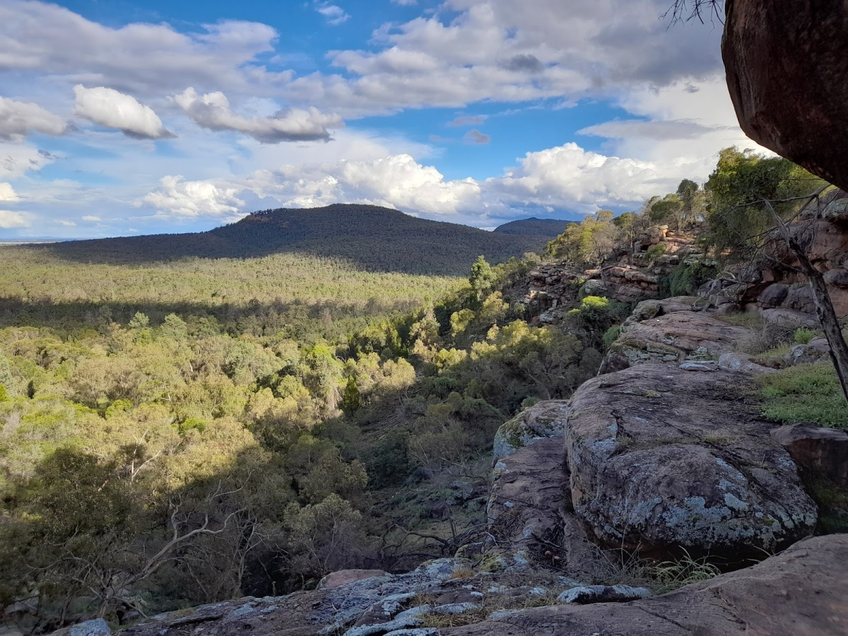 Spring Hill picnic area, Binya