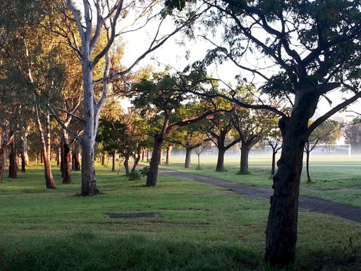 BMX City Dirt Tracks (Blue Gum Park / Kurangga)