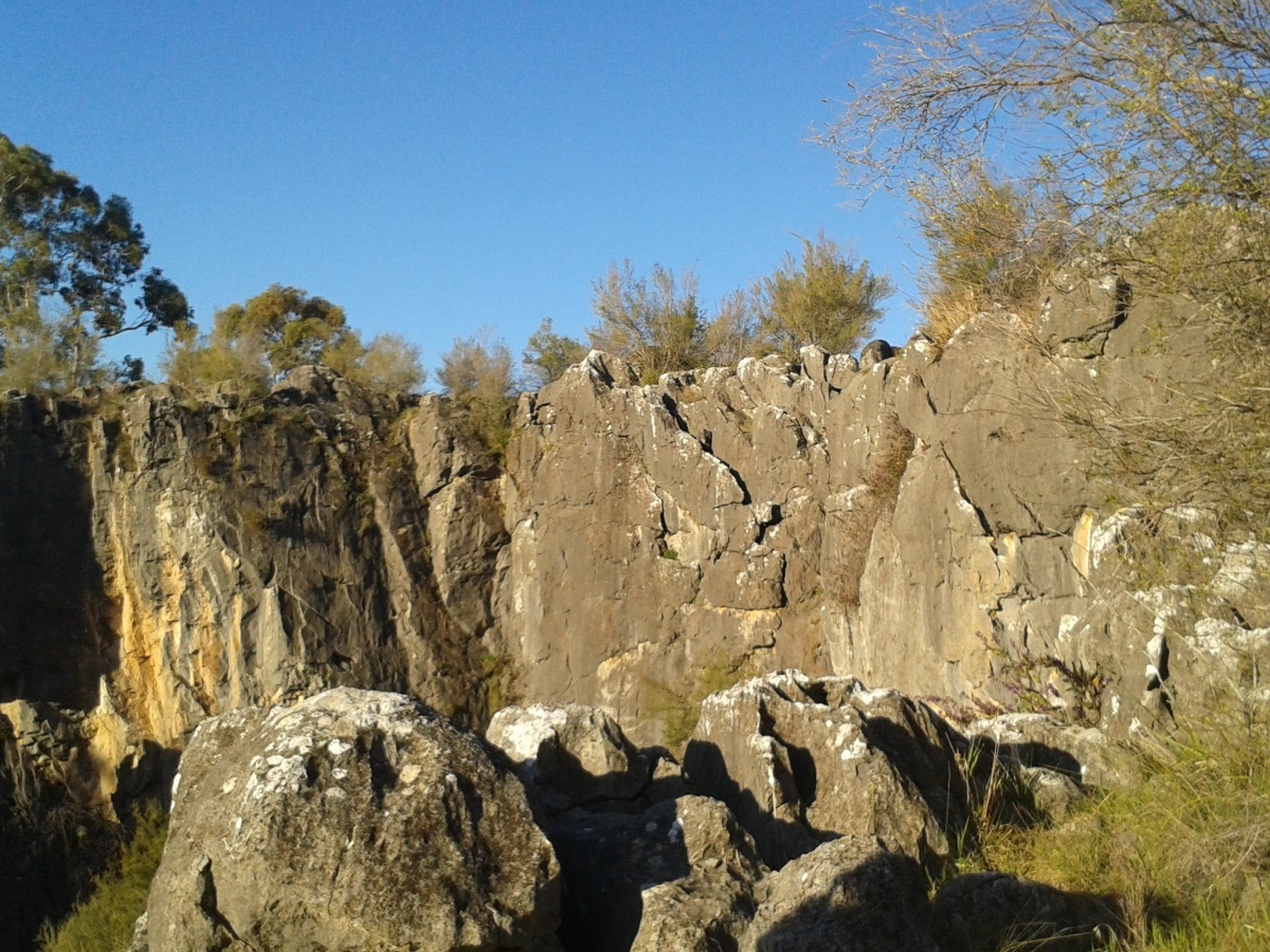 Borenore Karst Conservation Reserve