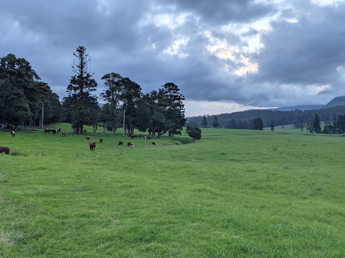 Koreelah National Park, Koreelah