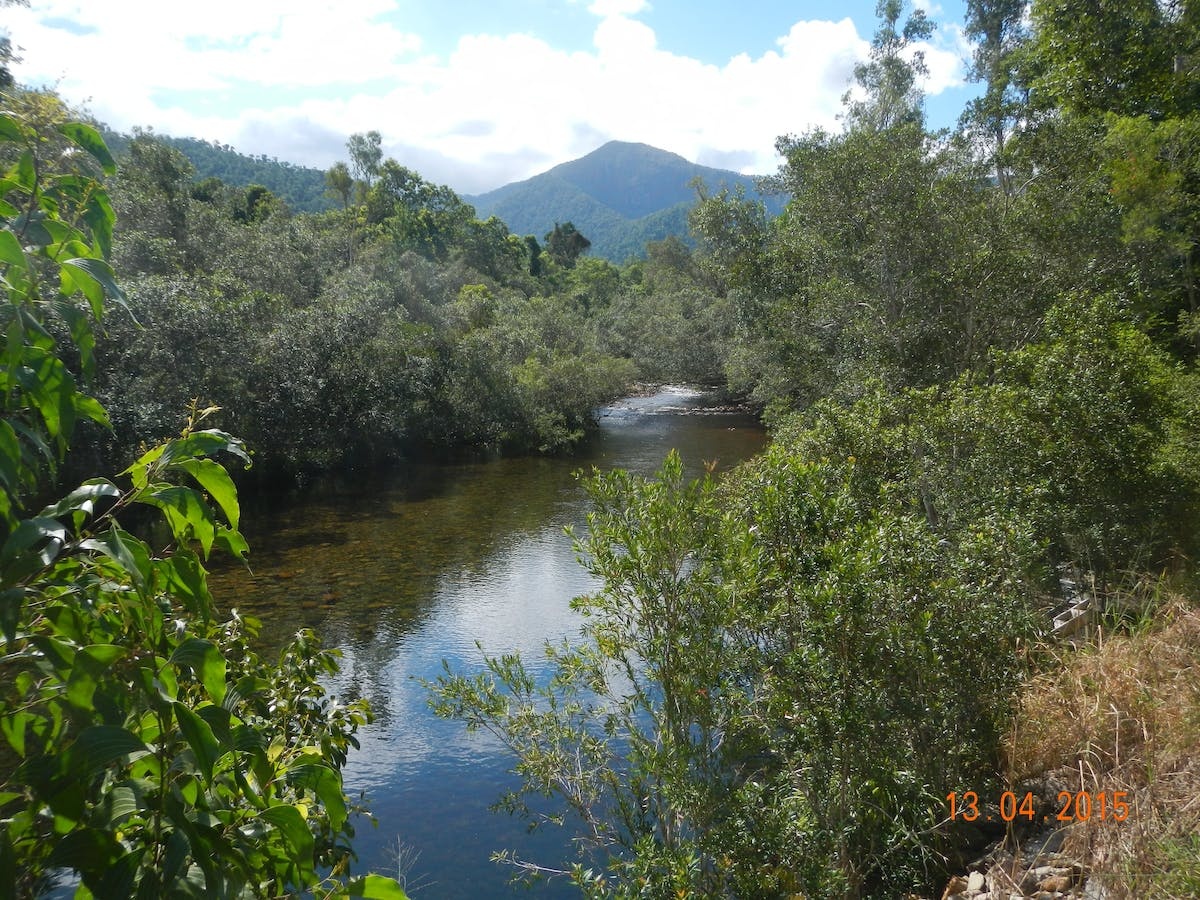 Broadwater, Abergowrie State Forest